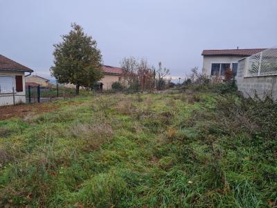 Vente Terrain BELLEGARDE-EN-FOREZ  42