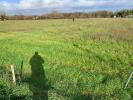 Land SAINT-CHRISTOLY-DE-BLAYE 