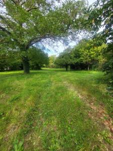 For sale Land LACHELLE  60