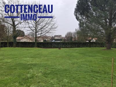 photo For sale Land BEAUPREAU 49