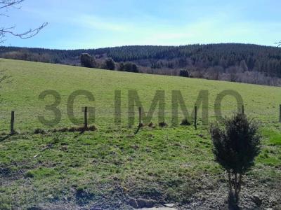 For sale House MURAT-SUR-VEBRE  81