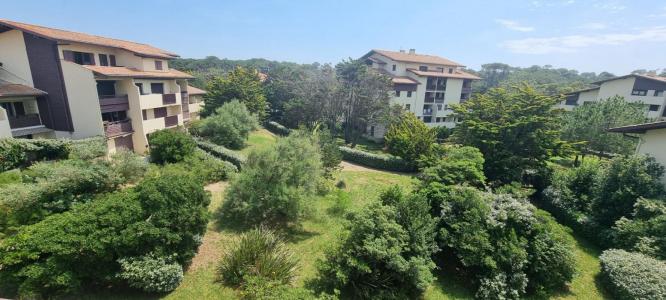 For sale Apartment SEIGNOSSE  40