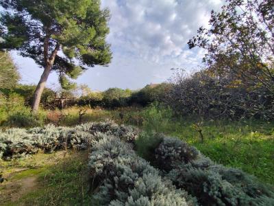 photo For sale Land MARSEILLAN 34