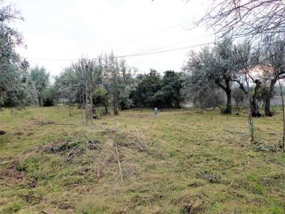 photo For sale Land FLAYOSC 83