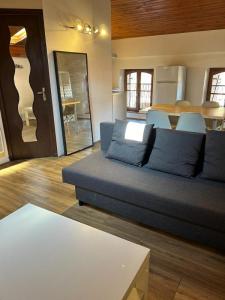 photo For rent Apartment VILLEMUR-SUR-TARN 31