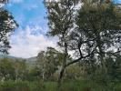 For sale Land Porto-vecchio  20137 2717 m2