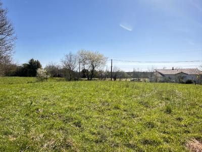 photo For sale Land AMOU 40