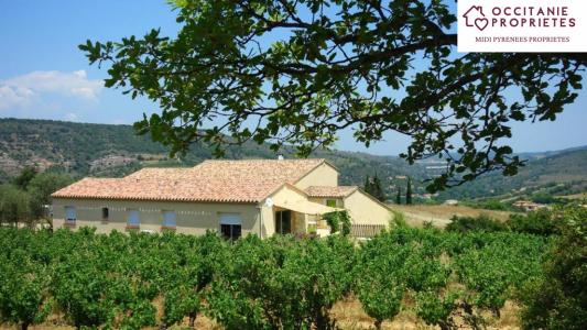 For sale Prestigious house LIMOUX  11