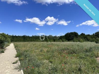 photo For sale Land CESSENON-SUR-ORB 34