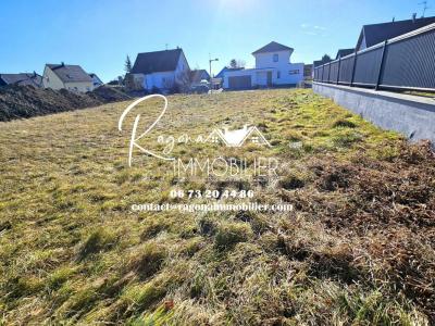 For sale Land HOMBOURG  68