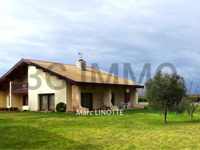 photo For sale House VILLENEUVE-DE-MARSAN 40