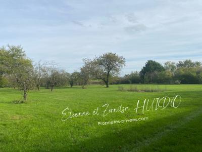 photo For sale Land MENETREOLS-SOUS-VATAN 36