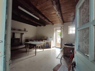 photo For sale House LOCMALO 56