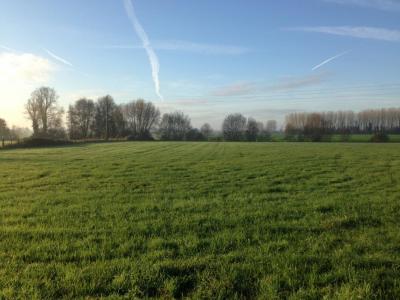 For sale Land MAIRIEUX  59