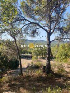 Vente Terrain RIANS 83560