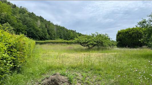 Vente Terrain SAINT-SYLVESTRE  74