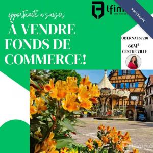 Vente Commerce OBERNAI 67210