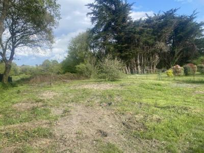 For sale Land ASSERAC  44