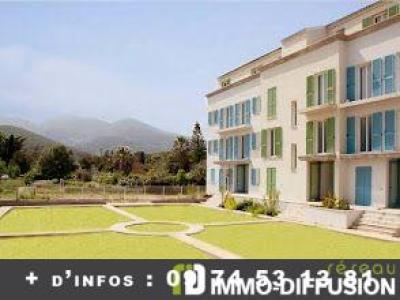 Vente Immeuble BORGO  20