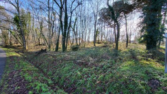 For sale Land LECHES  24