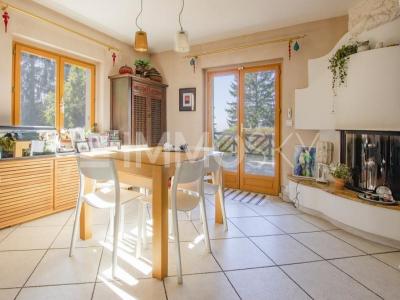 For sale House SAINT-CERGUES 