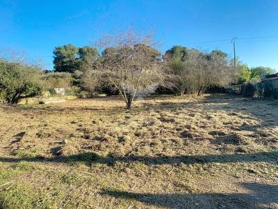 photo For sale Land NICE 06