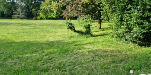 For sale Land VERGEROUX  17