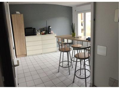 Location Appartement 2 pices FEURS 42110