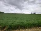 For sale Land Torcy-le-petit  76590 5118 m2