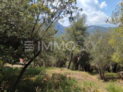 For sale Land SAINT-MARTIN-DU-VAR  06