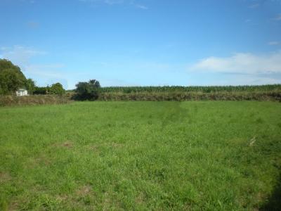 For sale Land ALLAN  26