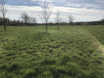 photo For sale Land VALENCE 26