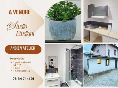 Vente Appartement VILLEURBANNE 69100