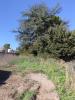 For sale Land Cournonterral  34660 396 m2