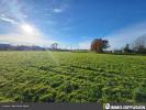 For sale Land Pont-de-vaux BON SECTEUR 01190