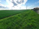 Acheter Terrain Neuville-de-poitou 64000 euros