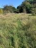 For sale Land Castelnau-d'estretefonds  31620 5060 m2