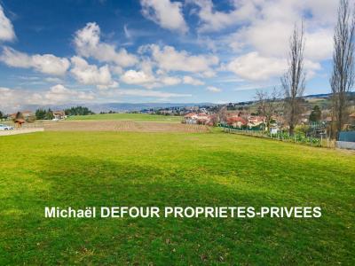 Vente Terrain MONISTROL-SUR-LOIRE 43120