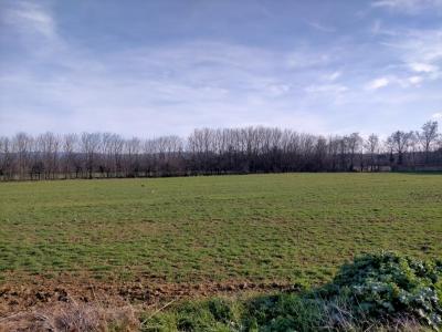 photo For sale Land VALENCE 26