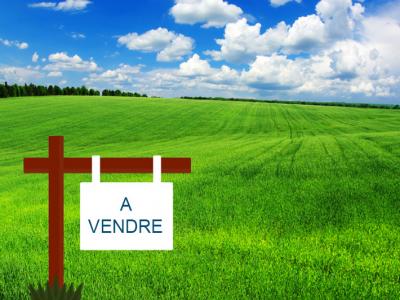 photo For sale Land SAINT-GUINOUX 35