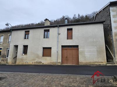 Vente Immeuble CHEVILLON 52170