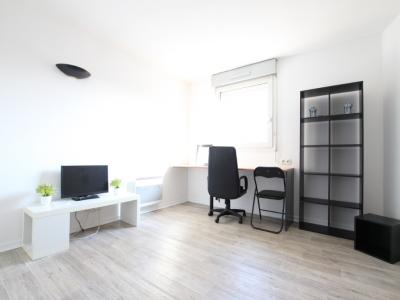 Location Appartement VILLEURBANNE  69