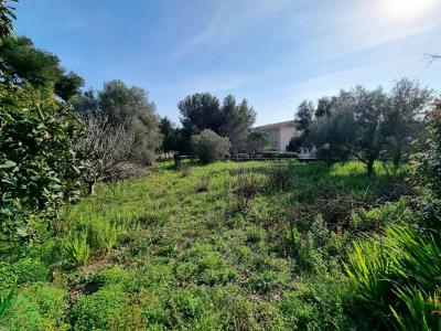 Vente Terrain SEYNE-SUR-MER  83