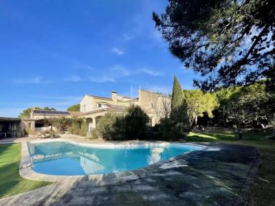 photo For sale Prestigious house FONTVIEILLE 13