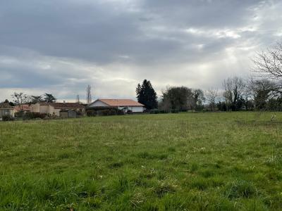 photo For sale Land AMOU 40