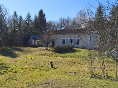 For sale House NEGRONDES  24