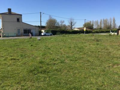 Vente Terrain BOURG  33