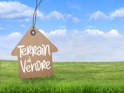 Vente Terrain NIVOLAS-VERMELLE 38300