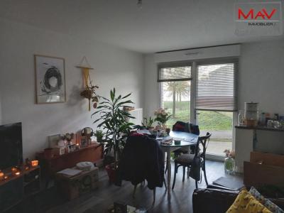 Location Appartement LINSELLES  59