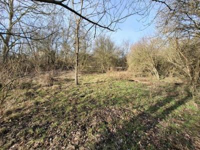 For sale Land CLERLANDE  63